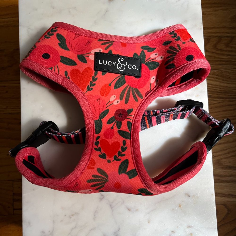 Lucy & Co. The Posy Pink Reversible Harness